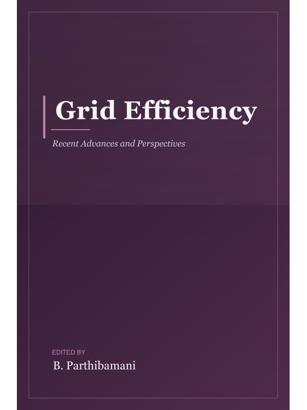 Grid Efficiency: Recent Advances and Perspectives cover